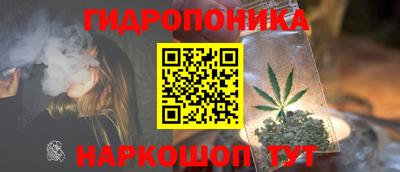 ПСИЛОЦИБИНОВЫЕ ГРИБЫ Новодвинск