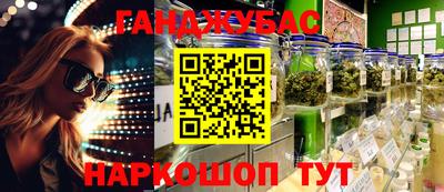 PSILOCYBIN Новокубанск